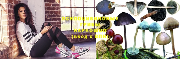 молекула духа Володарск