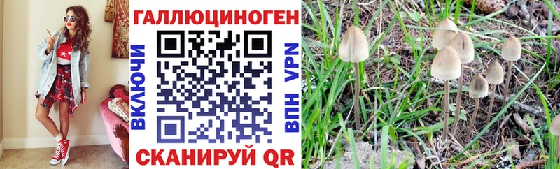 Галлюциногенные грибы мицелий Купить Лесозаводск